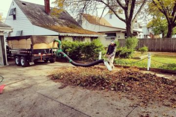 Spring & Fall Cleanup